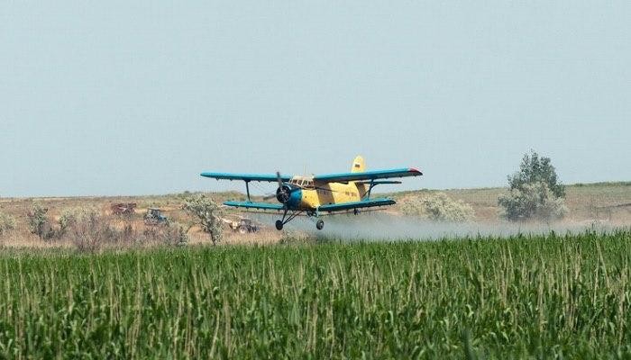 В Дагестане продолжаются мероприятия по профилактике распространения саранчовых вредителей