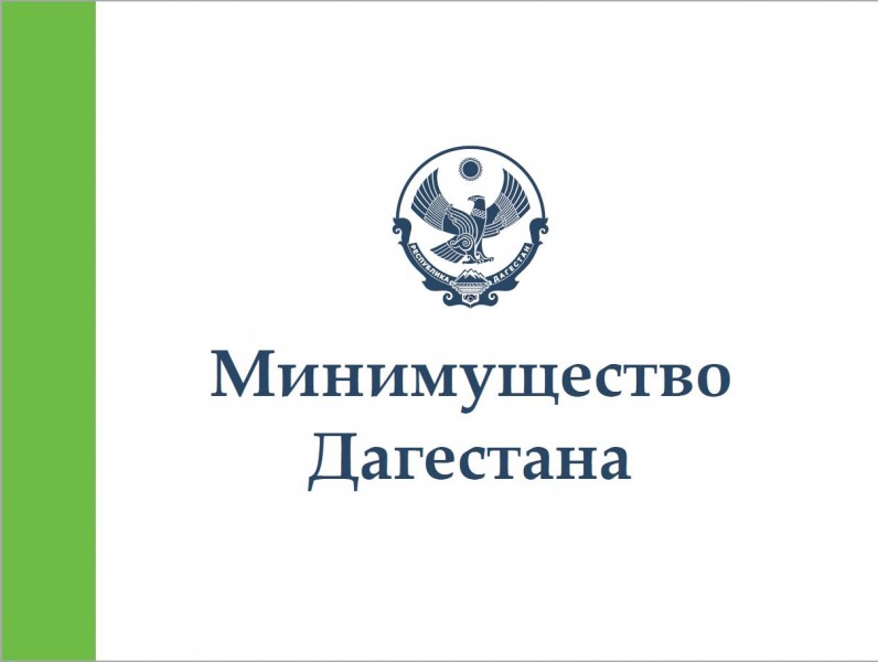 Об утверждении примерных форм документов, необходимых для представления в Правительственную комиссию Республики Дагестан по вопросам эффективности деятельности государственных унитарных предприятий Республики Дагестан