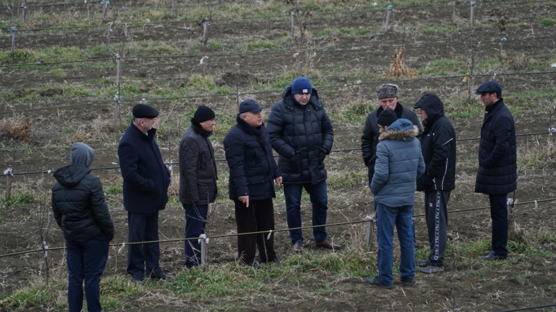 Хабиб Джанаев совместно с представителями Минсельхозпрода РД посетил ряд садоводческих хозяйств Хасавюртовского района