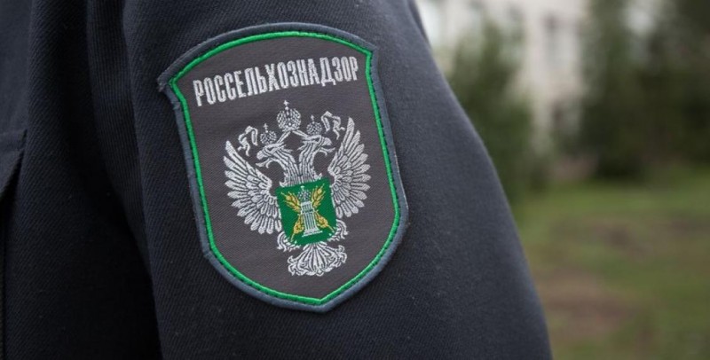 Россельхознадзор Дагестана проверяет дворовые территории образовательных и детских дошкольных учреждений