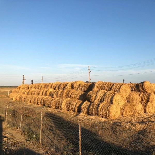 Работы по обследованию земельных участков