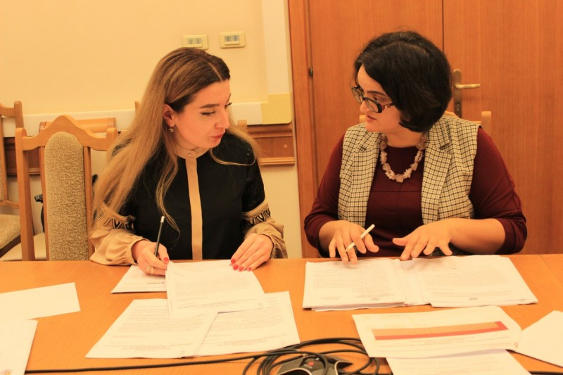 Екатерина Толстикова провела совещание, посвящённое учёту и ведению реестра государственного имущества