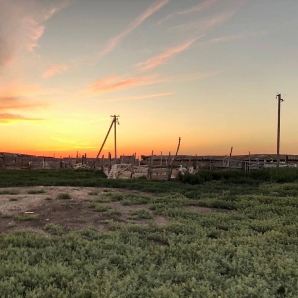 Работы по обследованию земельных участков