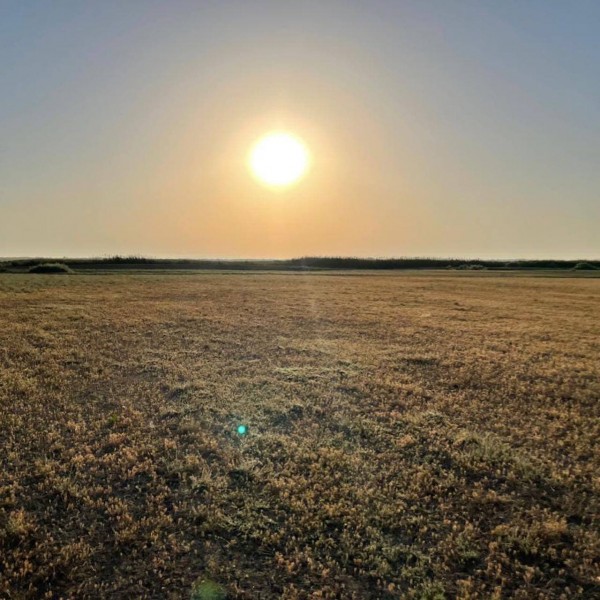 Работы по обследованию земельных участков