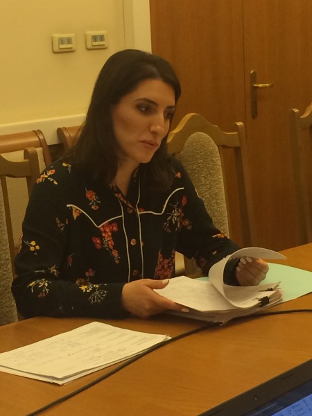 Екатерина Толстикова встретилась с представителями министерств и ведомств, курирующих отраслевые объекты недвижимости
