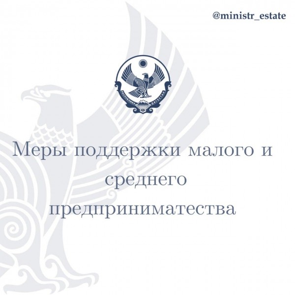 Меры поддержки малого и среднего предпринимательства