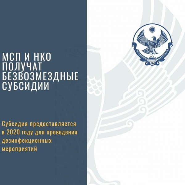 МСП и НКО получат безвозмездные субсидии