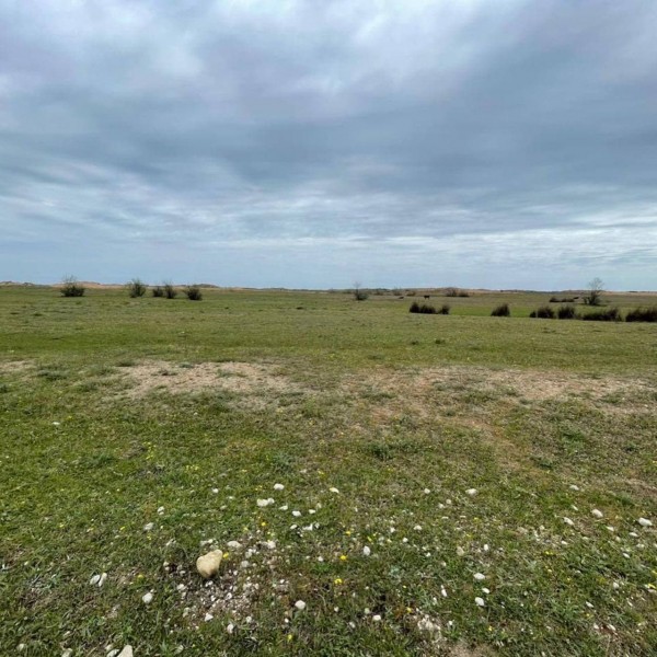 Работы по обследованию земельных участков