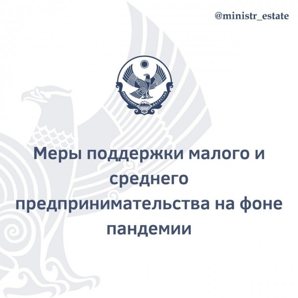 Меры поддержки малого и среднего предпринимательства на фоне пандемии