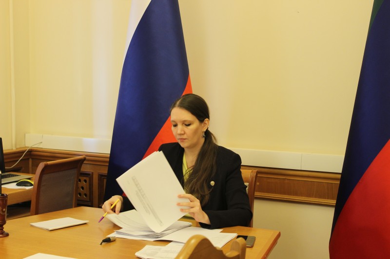Совещание по вопросу утверждения проектов перечней недвижимого имущества, закрепленного за государственными бюджетными учреждениями, провела Екатерина Толстикова