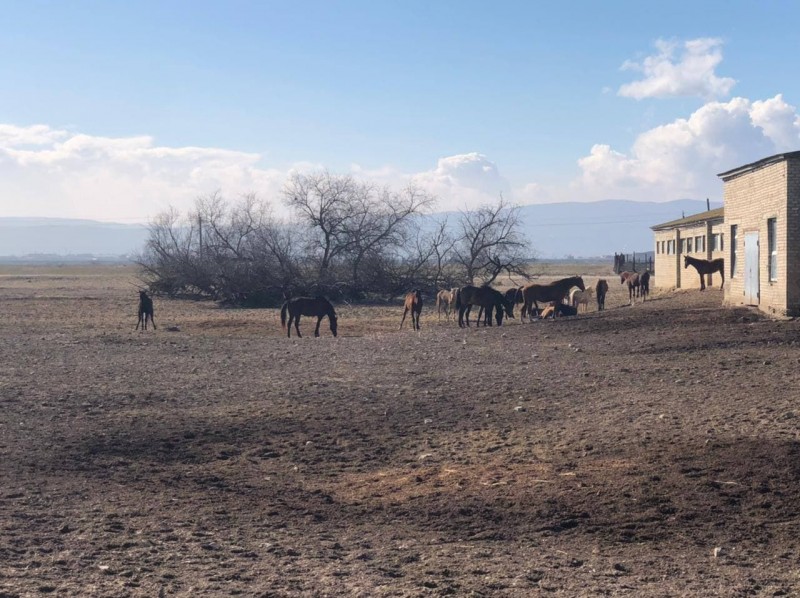 Министр по земельным и имущественным отношениям РД проинспектировал земельные участки в Карабудахкентском районе