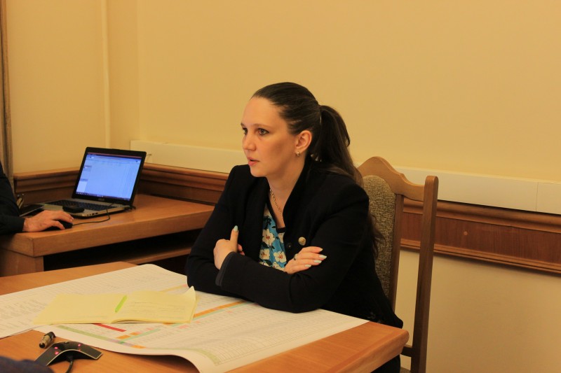 Екатерина Толстикова обсудила с муниципалитетами эффективное использование земель республиканской собственности