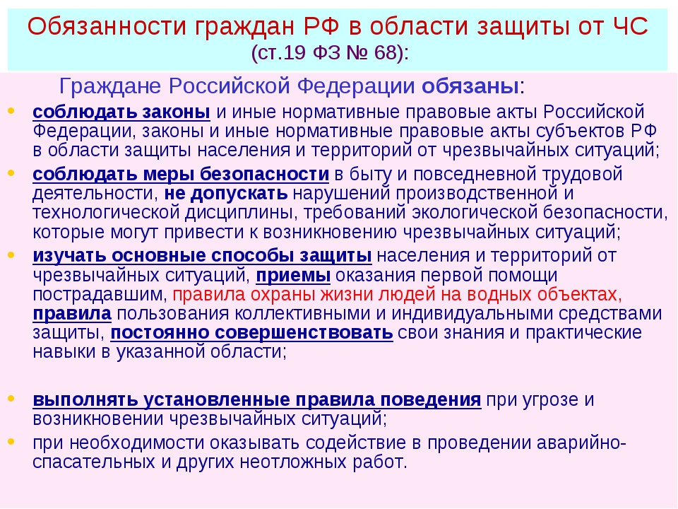 1781594636_VEYwcN8aCX.jpg